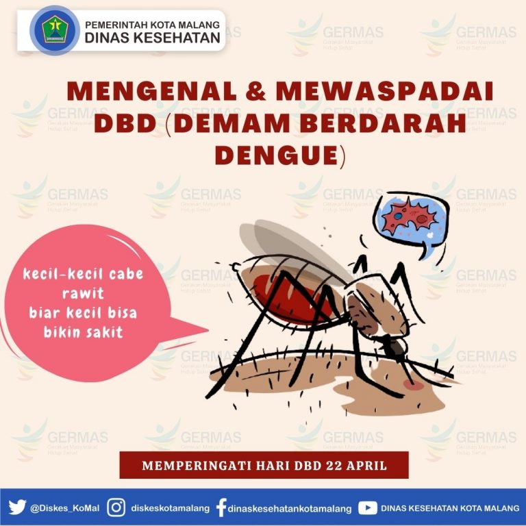 Mengenal Dan Mewaspadai Demam Berdarah Dengue (DBD)